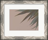 Framed Bamboo Pink III