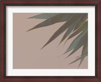 Framed Bamboo Pink III