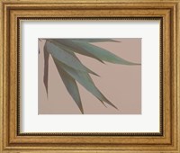 Framed Bamboo Pink IV