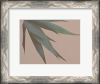 Framed Bamboo Pink IV