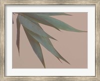 Framed Bamboo Pink IV