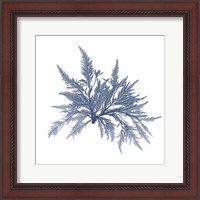 Framed Navy Seaweed V