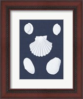 Framed Coquillages Blancs III