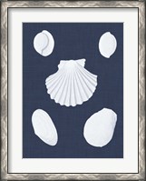 Framed Coquillages Blancs III