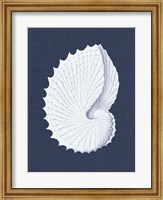 Framed Coquillages Blancs V