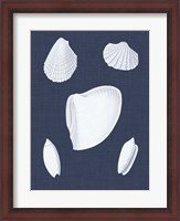 Framed Coquillages Blancs VI