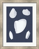 Framed Coquillages Blancs VI