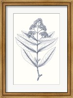 Framed Indigo Botany Study I