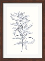 Framed Indigo Botany Study II