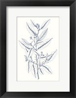 Framed Indigo Botany Study V