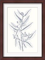 Framed Indigo Botany Study V