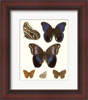Framed Violet Butterflies IV