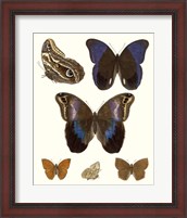 Framed Violet Butterflies IV
