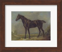 Framed Golding Constable's Black Riding-Horse
