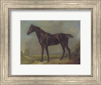 Framed Golding Constable's Black Riding-Horse