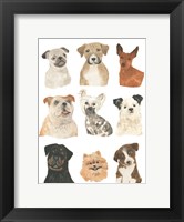 Framed Doggos & Puppers I