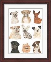 Framed Doggos & Puppers I