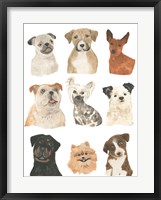 Framed Doggos & Puppers I