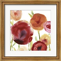 Framed Poppy Patch III