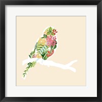 Foliage & Feathers II Framed Print