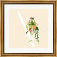 Framed Foliage & Feathers III