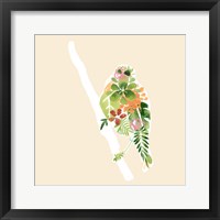 Framed Foliage & Feathers III