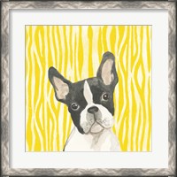 Framed Parlor Pooches VIII
