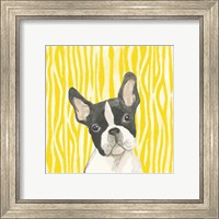 Framed 'Parlor Pooches VIII' border=