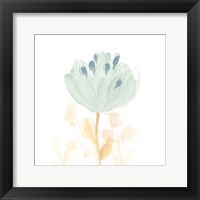 Framed 'Petite Petals V' border=