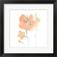 Framed Petite Petals VI