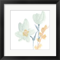 Framed 'Petite Petals IX' border=