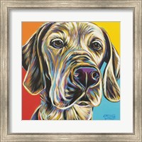 Framed Canine Buddy II