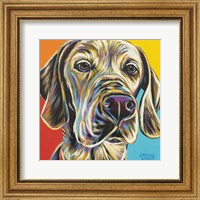 Framed Canine Buddy II