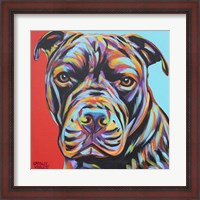 Framed Canine Buddy III