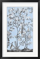 Tree of Life Chinoi II Framed Print