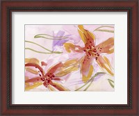 Framed Aromatic Flowers II