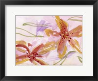 Aromatic Flowers II Framed Print