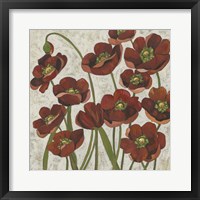 Sangria Poppies I Framed Print