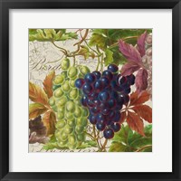 Framed 'Vintage Fruits III Grapes' border=