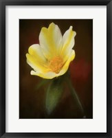 Framed Yellow Bloom