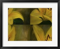 Framed Lily Abstract