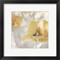 Framed 'Yellow Tulip 02' border=