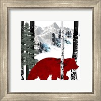 Framed 'Winter Bear' border=