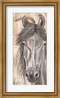 Framed 'Neigh'tural Beauty