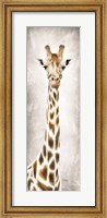 Framed Geri the Giraffe