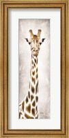 Framed Geri the Giraffe