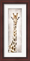 Framed Geri the Giraffe