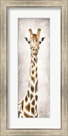 Framed Geri the Giraffe