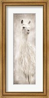 Framed Lulu the Llama
