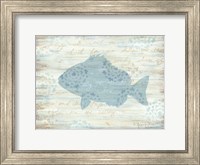 Framed Ocean Fish